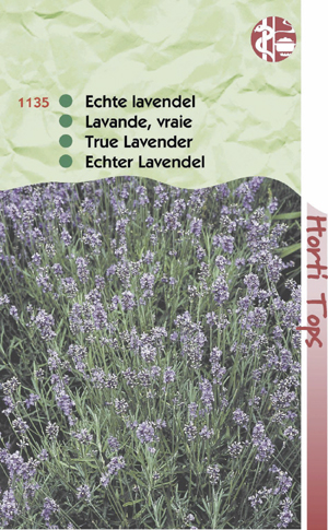 Lavendel 1,25